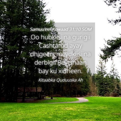 Picture 04 - Samuu'eel Kowaad 31:10 SOM - Oo hubkiisiina gurigii Cashtarod ayay dhigeen, - Bible Verse Picture