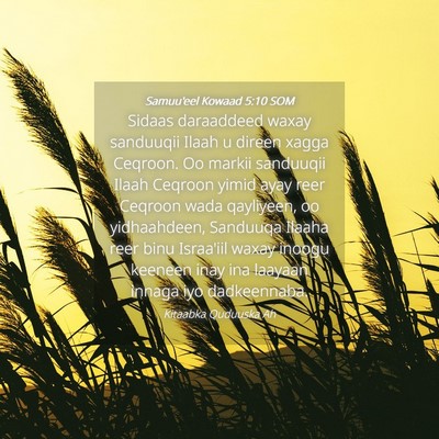 Picture 04 - Samuu'eel Kowaad 5:10 SOM - Sidaas daraaddeed waxay sanduuqii Ilaah u direen - Bible Verse Picture