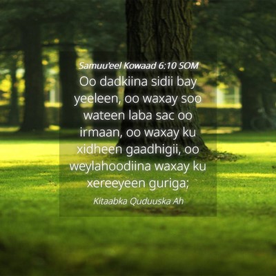Picture 04 - Samuu'eel Kowaad 6:10 SOM - Oo dadkiina sidii bay yeeleen, oo waxay soo - Bible Verse Picture