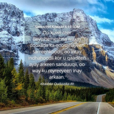 Picture 04 - Samuu'eel Kowaad 6:13 SOM - Oo kuwii reer Beytshemeshna waxay dooxada ka - Bible Verse Picture