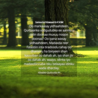 Picture 04 - Samuu'eel Kowaad 6:4 SOM - Oo markaasay yidhaahdeen, Qurbaanka xadgudubka ee - Bible Verse Picture