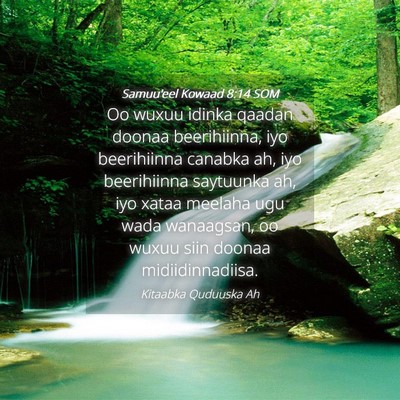 Picture 04 - Samuu'eel Kowaad 8:14 SOM - Oo wuxuu idinka qaadan doonaa beerihiinna, iyo - Bible Verse Picture