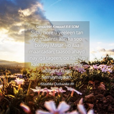 Picture 04 - Samuu'eel Kowaad 8:8 SOM - Siday hore u yeeleen tan iyo maalintii aan ka soo - Bible Verse Picture