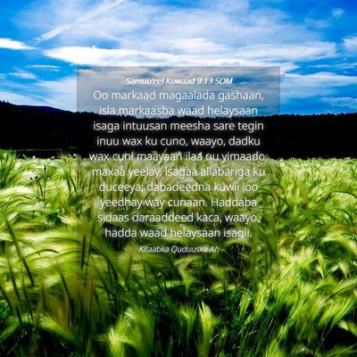 Picture 04 - Samuu'eel Kowaad 9:13 SOM - Oo markaad magaalada gashaan, isla markaasba waad - Bible Verse Picture