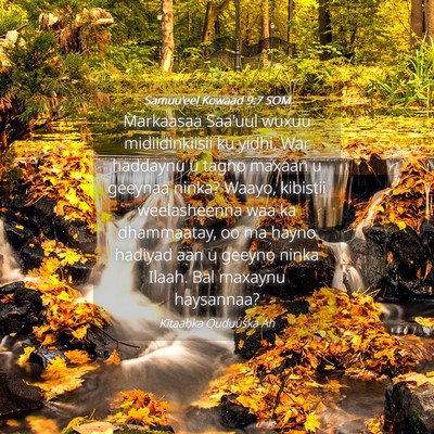 Picture 04 - Samuu'eel Kowaad 9:7 SOM - Markaasaa Saa'uul wuxuu midiidinkiisii ku yidhi, - Bible Verse Picture