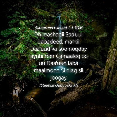 Picture 04 - Samuu'eel Labaad 1:1 SOM - Dhimashadii Saa'uul dabadeed, markii Daa'uud ka - Bible Verse Picture