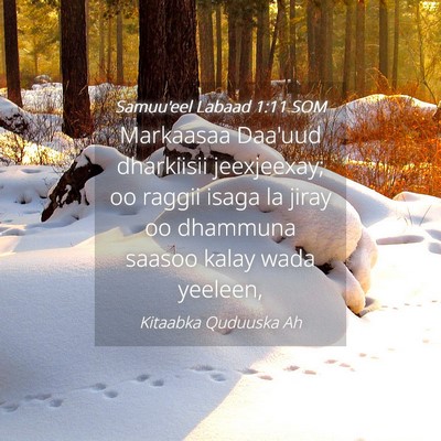 Picture 04 - Samuu'eel Labaad 1:11 SOM - Markaasaa Daa'uud dharkiisii jeexjeexay; oo - Bible Verse Picture