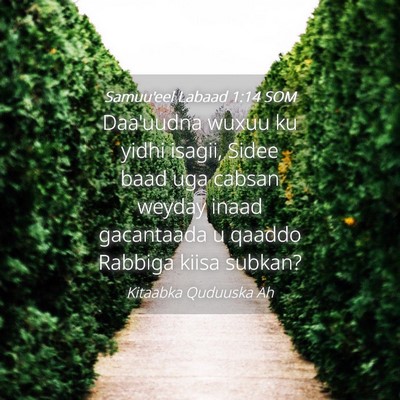 Picture 04 - Samuu'eel Labaad 1:14 SOM - Daa'uudna wuxuu ku yidhi isagii, Sidee baad uga - Bible Verse Picture