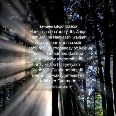 Picture 04 - Samuu'eel Labaad 10:2 SOM - Markaasaa Daa'uud yidhi, Anigu Xaanuun ina - Bible Verse Picture
