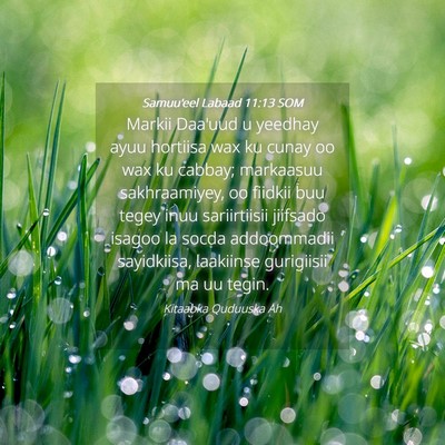 Picture 04 - Samuu'eel Labaad 11:13 SOM - Markii Daa'uud u yeedhay ayuu hortiisa wax ku - Bible Verse Picture