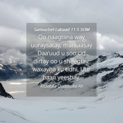 Picture 04 - Samuu'eel Labaad 11:5 SOM - Oo naagtiina way uuraysatay; markaasay Daa'uud u - Bible Verse Picture