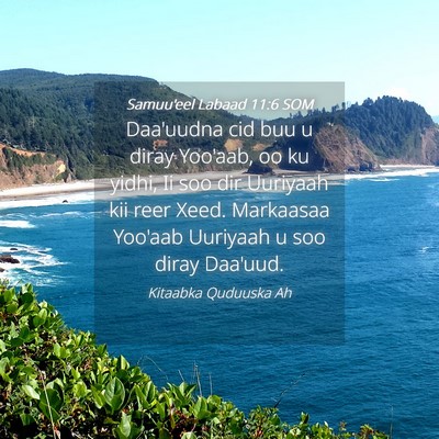 Picture 04 - Samuu'eel Labaad 11:6 SOM - Daa'uudna cid buu u diray Yoo'aab, oo ku yidhi, - Bible Verse Picture