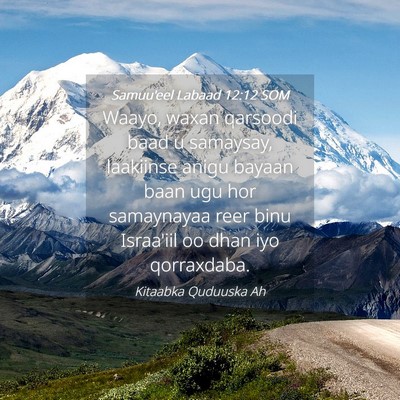 Picture 04 - Samuu'eel Labaad 12:12 SOM - Waayo, waxan qarsoodi baad u samaysay, laakiinse - Bible Verse Picture