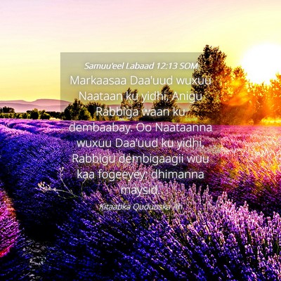 Picture 04 - Samuu'eel Labaad 12:13 SOM - Markaasaa Daa'uud wuxuu Naataan ku yidhi, Anigu - Bible Verse Picture