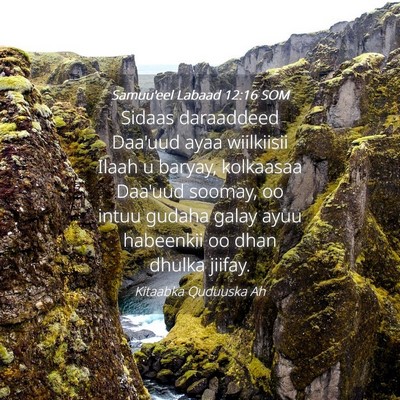 Picture 04 - Samuu'eel Labaad 12:16 SOM - Sidaas daraaddeed Daa'uud ayaa wiilkiisii Ilaah u - Bible Verse Picture