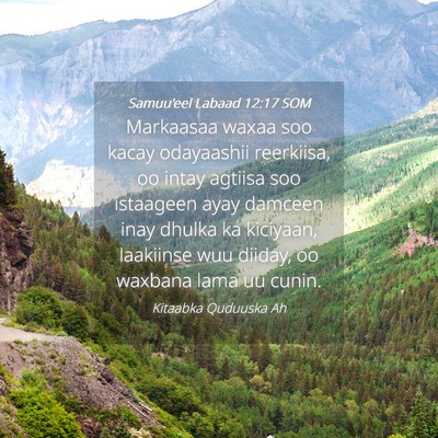 Picture 04 - Samuu'eel Labaad 12:17 SOM - Markaasaa waxaa soo kacay odayaashii reerkiisa, - Bible Verse Picture