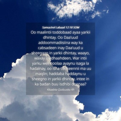 Picture 04 - Samuu'eel Labaad 12:18 SOM - Oo maalintii toddobaad ayaa yarkii dhintay. Oo - Bible Verse Picture