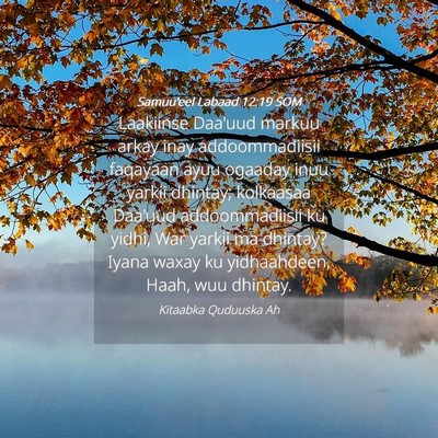 Picture 04 - Samuu'eel Labaad 12:19 SOM - Laakiinse Daa'uud markuu arkay inay - Bible Verse Picture