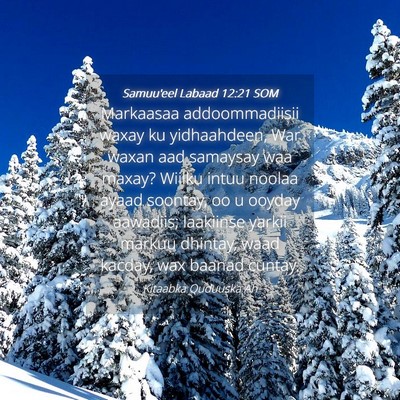 Picture 04 - Samuu'eel Labaad 12:21 SOM - Markaasaa addoommadiisii waxay ku yidhaahdeen, - Bible Verse Picture