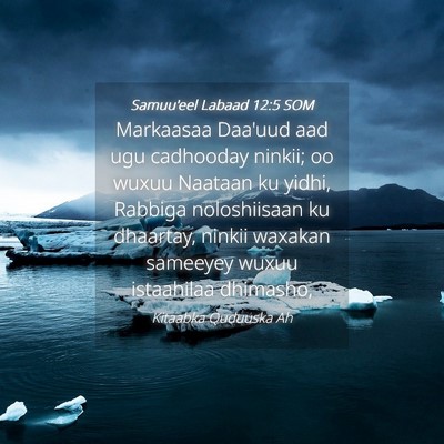 Picture 04 - Samuu'eel Labaad 12:5 SOM - Markaasaa Daa'uud aad ugu cadhooday ninkii; oo - Bible Verse Picture