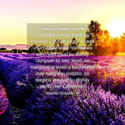 Picture 04 - Samuu'eel Labaad 12:9 SOM - Haddaba erayga Rabbiga maxaad u quudhsatay, oo - Bible Verse Picture