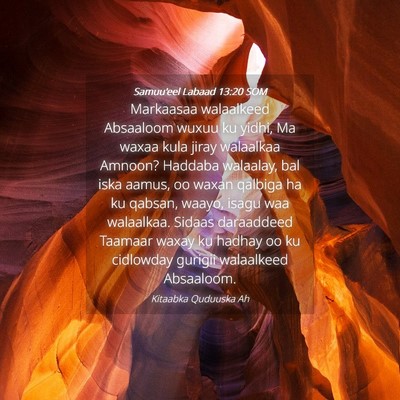 Picture 04 - Samuu'eel Labaad 13:20 SOM - Markaasaa walaalkeed Absaaloom wuxuu ku yidhi, Ma - Bible Verse Picture