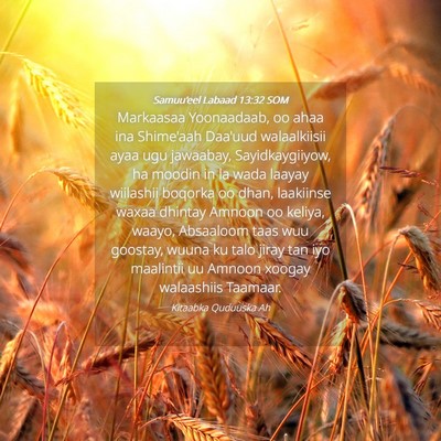 Picture 04 - Samuu'eel Labaad 13:32 SOM - Markaasaa Yoonaadaab, oo ahaa ina Shime'aah - Bible Verse Picture