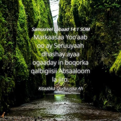 Picture 04 - Samuu'eel Labaad 14:1 SOM - Markaasaa Yoo'aab oo ay Seruuyaah dhashay ayaa - Bible Verse Picture