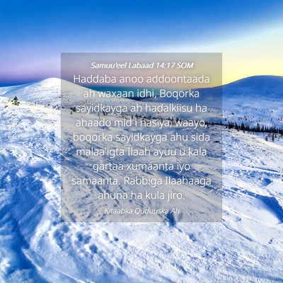 Picture 04 - Samuu'eel Labaad 14:17 SOM - Haddaba anoo addoontaada ah waxaan idhi, Boqorka - Bible Verse Picture