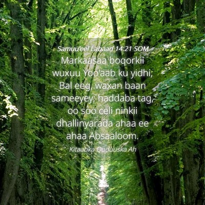 Picture 04 - Samuu'eel Labaad 14:21 SOM - Markaasaa boqorkii wuxuu Yoo'aab ku yidhi, Bal - Bible Verse Picture