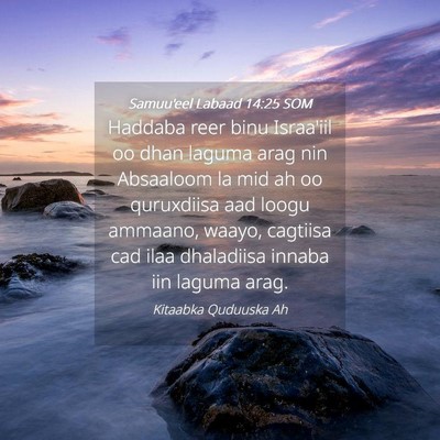 Picture 04 - Samuu'eel Labaad 14:25 SOM - Haddaba reer binu Israa'iil oo dhan laguma arag - Bible Verse Picture