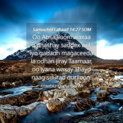 Picture 04 - Samuu'eel Labaad 14:27 SOM - Oo Absaaloom waxaa u dhashay saddex wiil, iyo - Bible Verse Picture