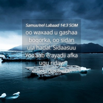Picture 04 - Samuu'eel Labaad 14:3 SOM - oo waxaad u gashaa boqorka, oo sidan ula hadal. - Bible Verse Picture