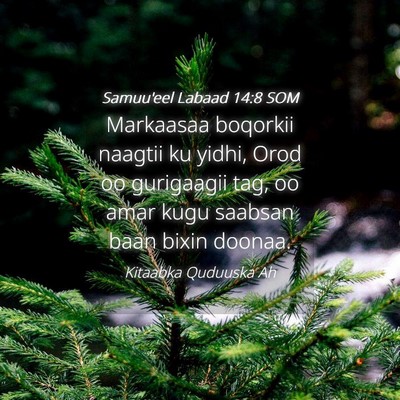 Picture 04 - Samuu'eel Labaad 14:8 SOM - Markaasaa boqorkii naagtii ku yidhi, Orod oo - Bible Verse Picture