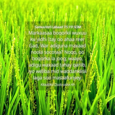 Picture 04 - Samuu'eel Labaad 15:19 SOM - Markaasaa boqorkii wuxuu ku yidhi Itay oo ahaa - Bible Verse Picture