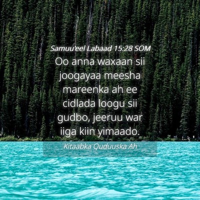 Picture 04 - Samuu'eel Labaad 15:28 SOM - Oo anna waxaan sii joogayaa meesha mareenka ah ee - Bible Verse Picture
