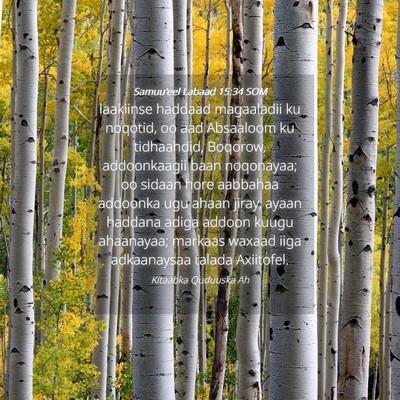 Picture 04 - Samuu'eel Labaad 15:34 SOM - laakiinse haddaad magaaladii ku noqotid, oo aad - Bible Verse Picture