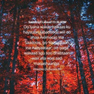 Picture 04 - Samuu'eel Labaad 15:36 SOM - Oo iyana waxay halkaas ku haystaan labadoodii - Bible Verse Picture