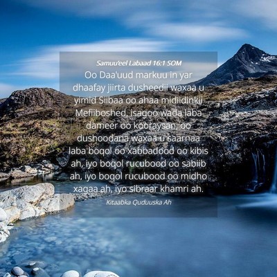 Picture 04 - Samuu'eel Labaad 16:1 SOM - Oo Daa'uud markuu in yar dhaafay jiirta dusheedii - Bible Verse Picture