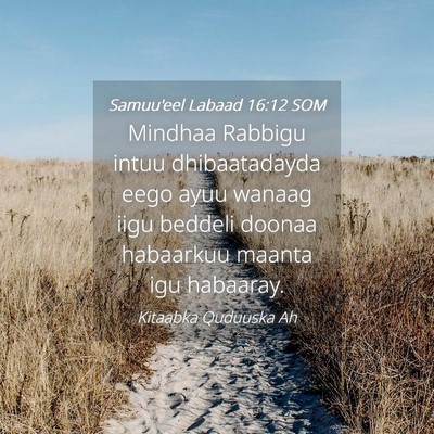 Picture 04 - Samuu'eel Labaad 16:12 SOM - Mindhaa Rabbigu intuu dhibaatadayda eego ayuu - Bible Verse Picture