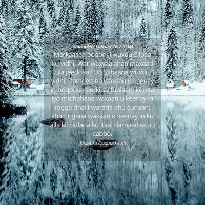 Picture 04 - Samuu'eel Labaad 16:2 SOM - Markaasaa boqorkii wuxuu Siibaa ku yidhi, War - Bible Verse Picture