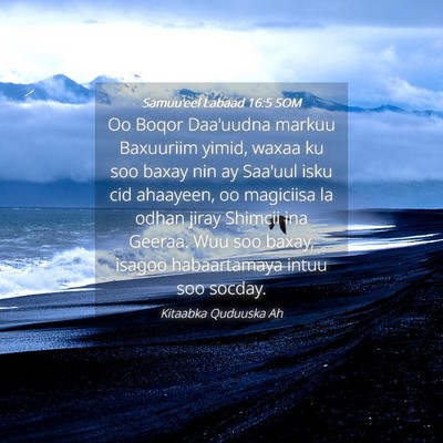 Picture 04 - Samuu'eel Labaad 16:5 SOM - Oo Boqor Daa'uudna markuu Baxuuriim yimid, waxaa - Bible Verse Picture