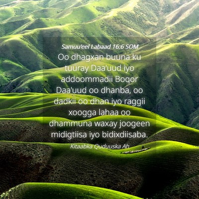 Picture 04 - Samuu'eel Labaad 16:6 SOM - Oo dhagxan buuna ku tuuray Daa'uud iyo - Bible Verse Picture