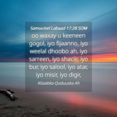 Picture 04 - Samuu'eel Labaad 17:28 SOM - oo waxay u keeneen gogol, iyo fijaanno, iyo - Bible Verse Picture