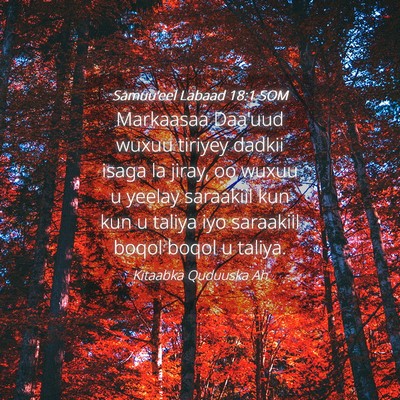 Picture 04 - Samuu'eel Labaad 18:1 SOM - Markaasaa Daa'uud wuxuu tiriyey dadkii isaga la - Bible Verse Picture