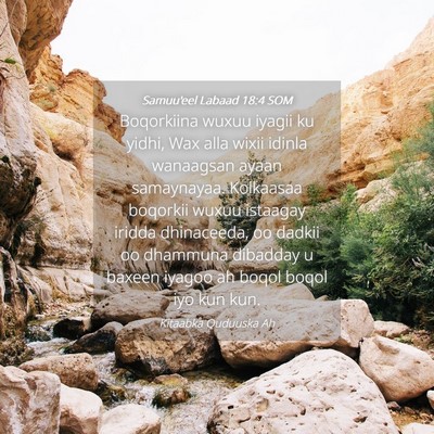 Picture 04 - Samuu'eel Labaad 18:4 SOM - Boqorkiina wuxuu iyagii ku yidhi, Wax alla wixii - Bible Verse Picture