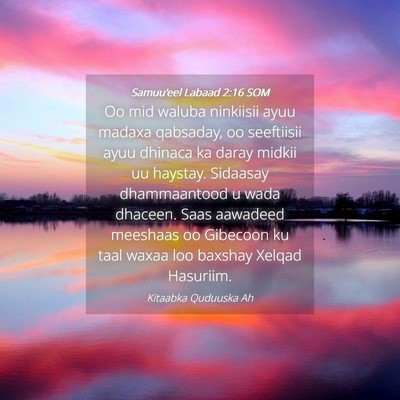 Picture 04 - Samuu'eel Labaad 2:16 SOM - Oo mid waluba ninkiisii ayuu madaxa qabsaday, oo - Bible Verse Picture
