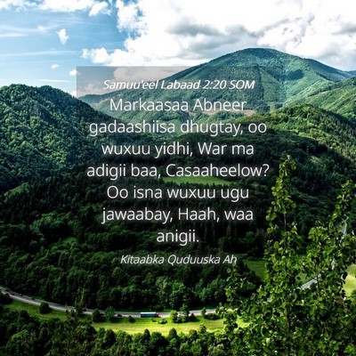 Picture 04 - Samuu'eel Labaad 2:20 SOM - Markaasaa Abneer gadaashiisa dhugtay, oo wuxuu - Bible Verse Picture