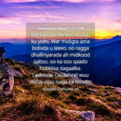 Picture 04 - Samuu'eel Labaad 2:21 SOM - Markaasaa Abneer wuxuu ku yidhi, War midigta ama - Bible Verse Picture