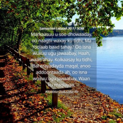 Picture 04 - Samuu'eel Labaad 20:17 SOM - Markaasuu u soo dhowaaday, oo naagtii waxay ku - Bible Verse Picture